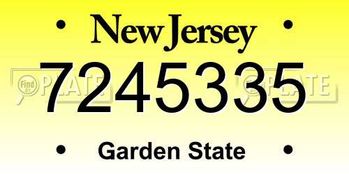 7245335 New Jersey License Plate