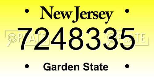 7248335 New Jersey License Plate