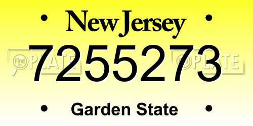 7255273 New Jersey License Plate