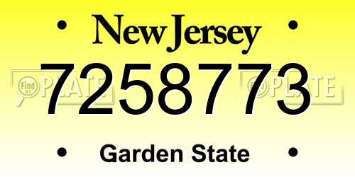 7258773 New Jersey License Plate