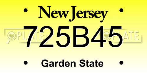 725B45 New Jersey License Plate