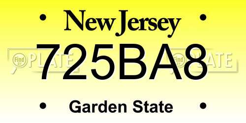 725BA8 New Jersey License Plate