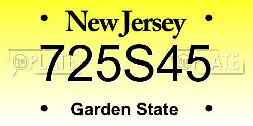 725S45 New Jersey License Plate
