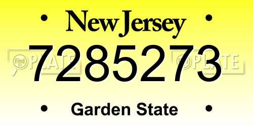 7285273 New Jersey License Plate