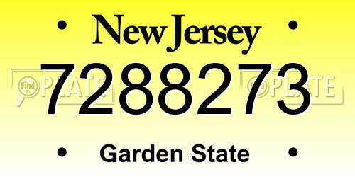7288273 New Jersey License Plate