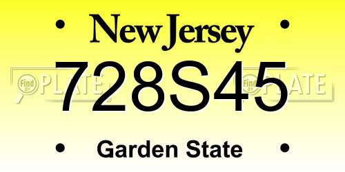 728S45 New Jersey License Plate