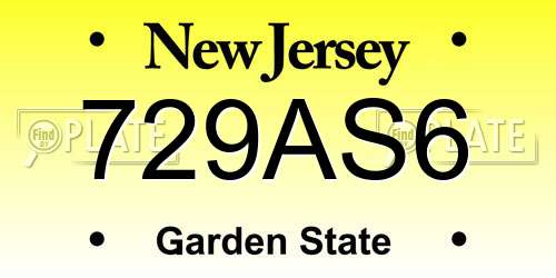 729AS6 New Jersey License Plate
