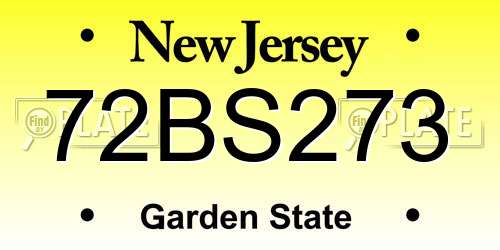 72BS273 New Jersey License Plate