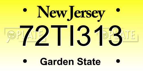 72TI313 New Jersey License Plate
