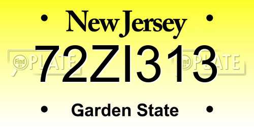 72ZI313 New Jersey License Plate
