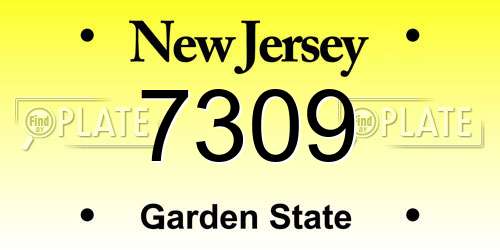 7309 New Jersey License Plate