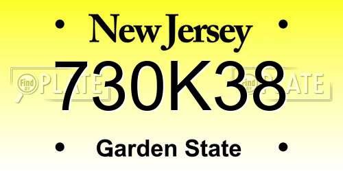 730K38 New Jersey License Plate