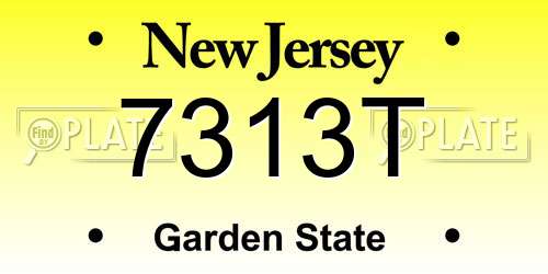 7313T New Jersey License Plate