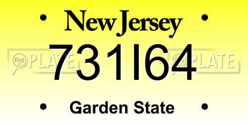 731I64 New Jersey License Plate