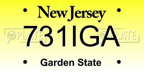 731IGA New Jersey License Plate