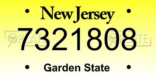 7321808 New Jersey License Plate