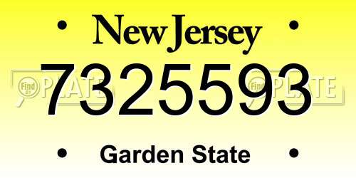 7325593 New Jersey License Plate