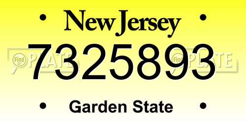 7325893 New Jersey License Plate