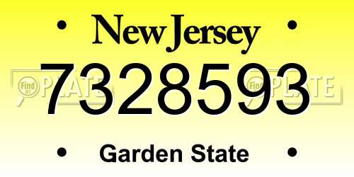 7328593 New Jersey License Plate