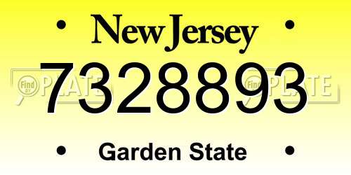 7328893 New Jersey License Plate