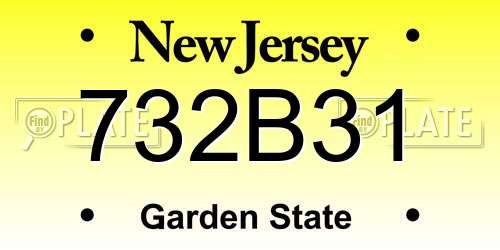732B31 New Jersey License Plate
