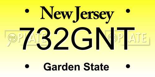 732GNT New Jersey License Plate