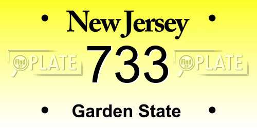 733 New Jersey License Plate