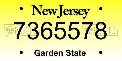 7365578 New Jersey License Plate
