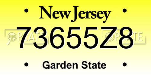 73655Z8 New Jersey License Plate