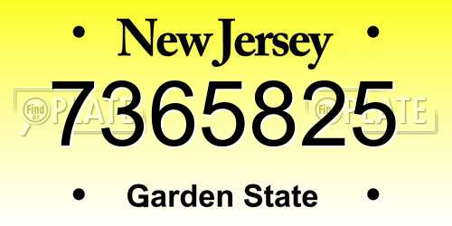 7365825 New Jersey License Plate