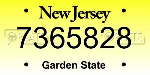 7365828 New Jersey License Plate