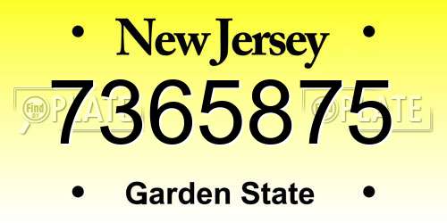 7365875 New Jersey License Plate