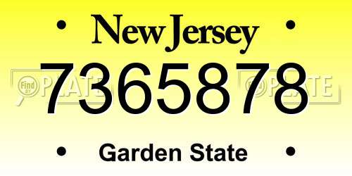 7365878 New Jersey License Plate