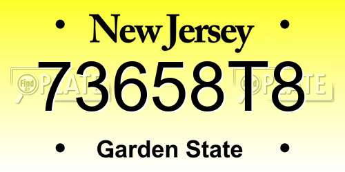 73658T8 New Jersey License Plate