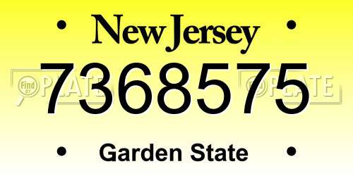 7368575 New Jersey License Plate
