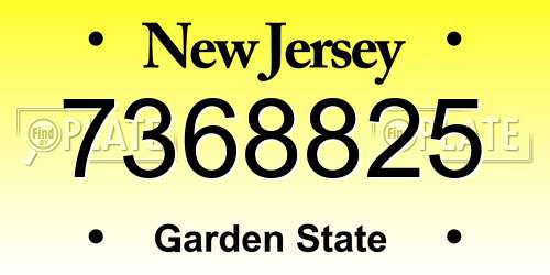 7368825 New Jersey License Plate
