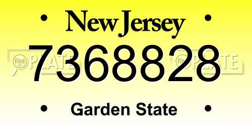 7368828 New Jersey License Plate