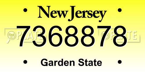7368878 New Jersey License Plate