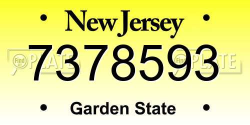 7378593 New Jersey License Plate