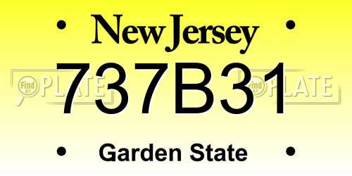 737B31 New Jersey License Plate