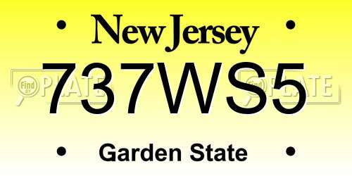 737WS5 New Jersey License Plate