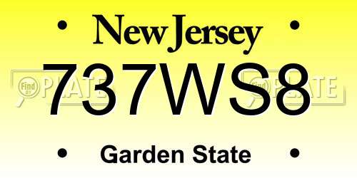 737WS8 New Jersey License Plate