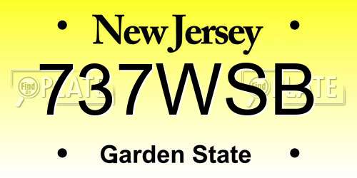 737WSB New Jersey License Plate