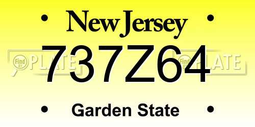 737Z64 New Jersey License Plate