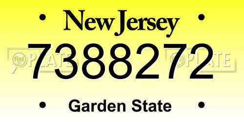 7388272 New Jersey License Plate