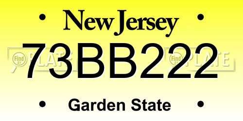 73BB222 New Jersey License Plate