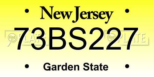 73BS227 New Jersey License Plate