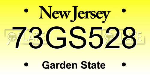 73GS528 New Jersey License Plate