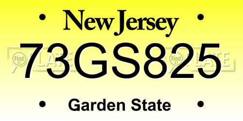 73GS825 New Jersey License Plate