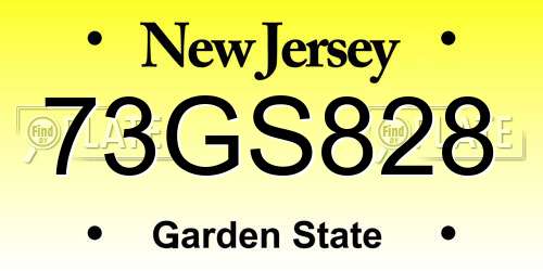 73GS828 New Jersey License Plate